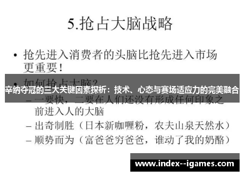 辛纳夺冠的三大关键因素探析：技术、心态与赛场适应力的完美融合