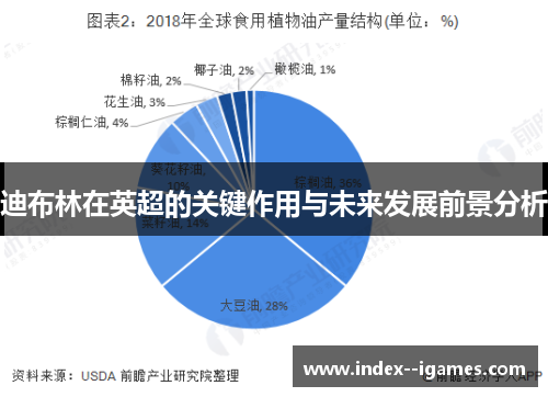 迪布林在英超的关键作用与未来发展前景分析
