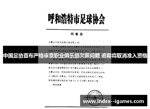 中国足协宣布严格审查职业俱乐部欠薪问题 逾期将取消准入资格