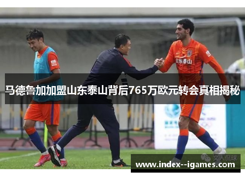 马德鲁加加盟山东泰山背后765万欧元转会真相揭秘